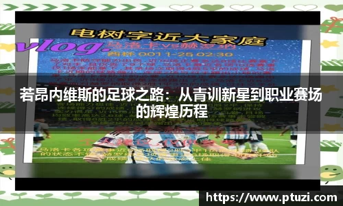 若昂内维斯的足球之路：从青训新星到职业赛场的辉煌历程